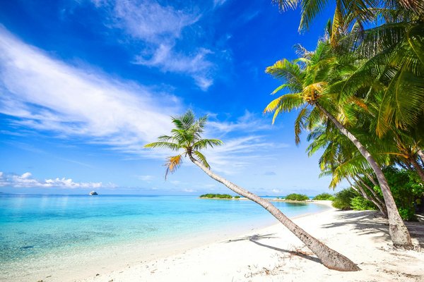 Témoignages : Expériences de location de maisons de vacances